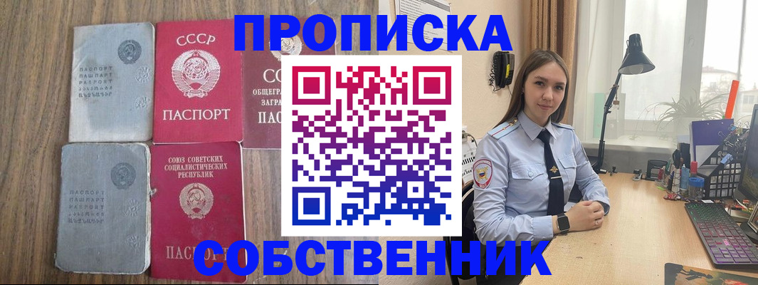 временная регистрация поиск в Палласовке